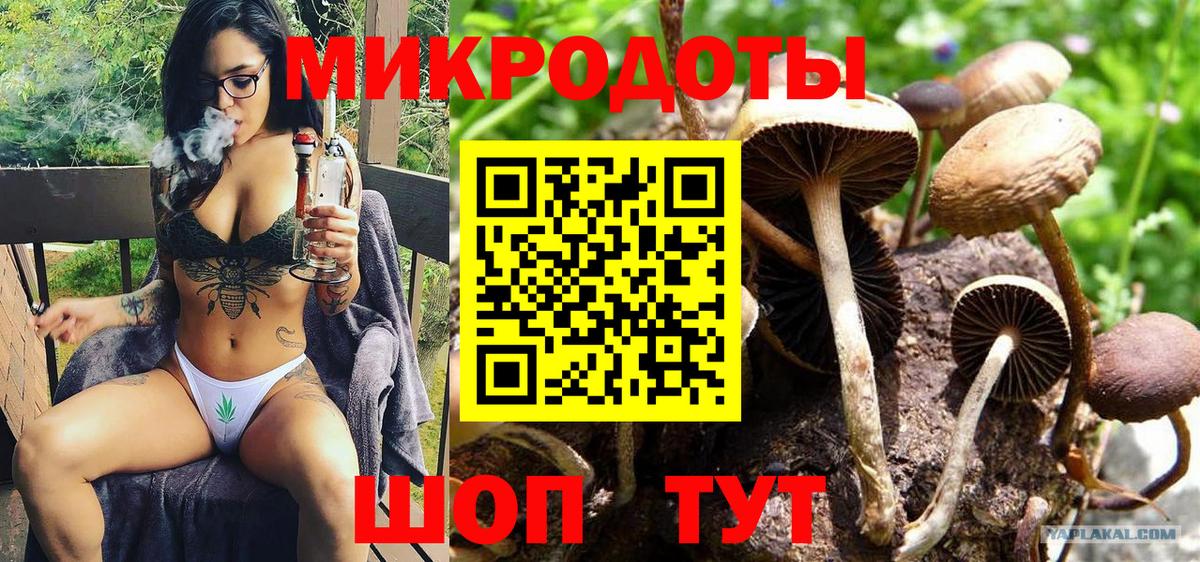 Гагарин  Псилоцибиновые грибы прущие грибы  Вход с VPN 
